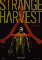 怪奇收割線上看