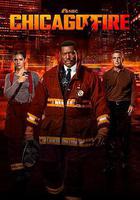 芝加哥烈焰 第十二季線上看