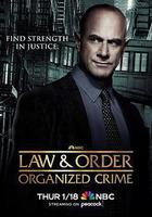 法律與秩序：組織犯罪 第四季線上看