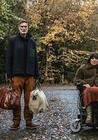 我們或許會後悔 第一季線上看