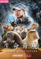 生命奇觀線上看