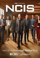 海軍罪案調查處 第二十一季線上看