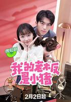 我的老闆是小豬免費觀賞
