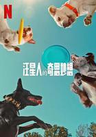 汪星人的奇思妙想線上看