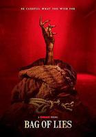 魔袋謊言線上看