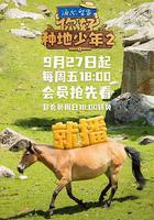 你好，種地少年2免費觀賞