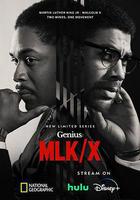 天才 第四季線上看