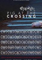 十字路口的豬線上看