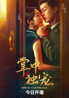 掌中獨寵線上看