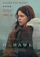 以鷹之名線上看