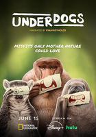 廢柴英雄線上看