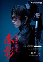 假面忍者赤影線上看