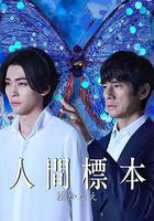 人類標本線上看