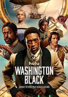 華盛頓·布萊克線上看