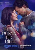 兩個世界一個願望線上看