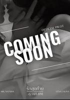 愛的港灣線上看