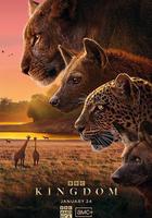 動物王國線上看