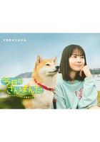 今日份的散步線上看