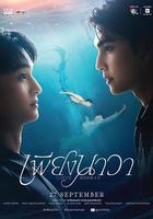 人魚戀人線上看