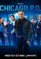 芝加哥警署 第十三季線上看