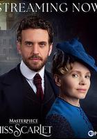 斯嘉麗小姐探案集 第六季線上看