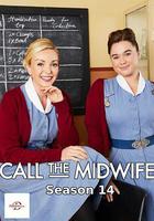 呼叫助產士 第十四季線上看