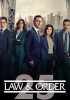 法律與秩序 第二十五季線上看