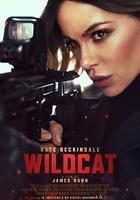 限時營救線上看