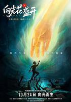 向光花盛開線上看