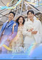 華麗的日子線上看