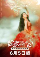 綻放的許開心線上看