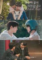 桃花開好了線上看