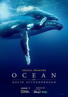 大衛·愛登堡：海洋線上看