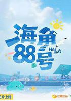 海角88號線上看