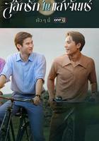 月光下的愛情線上看