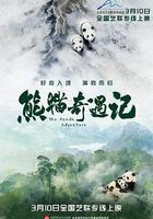熊貓奇遇記線上看