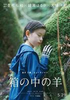 盒子裡的羊線上看