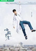 小城良方線上看