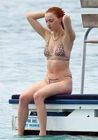 狂鯊風暴線上看